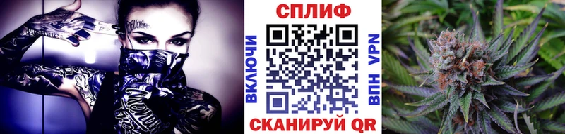 Шишки марихуана конопля  блэк спрут как зайти  Харабали  наркотики 